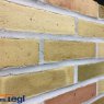 Кирпич ручной формовки Randers Tegl RT 573 handstrichziegel